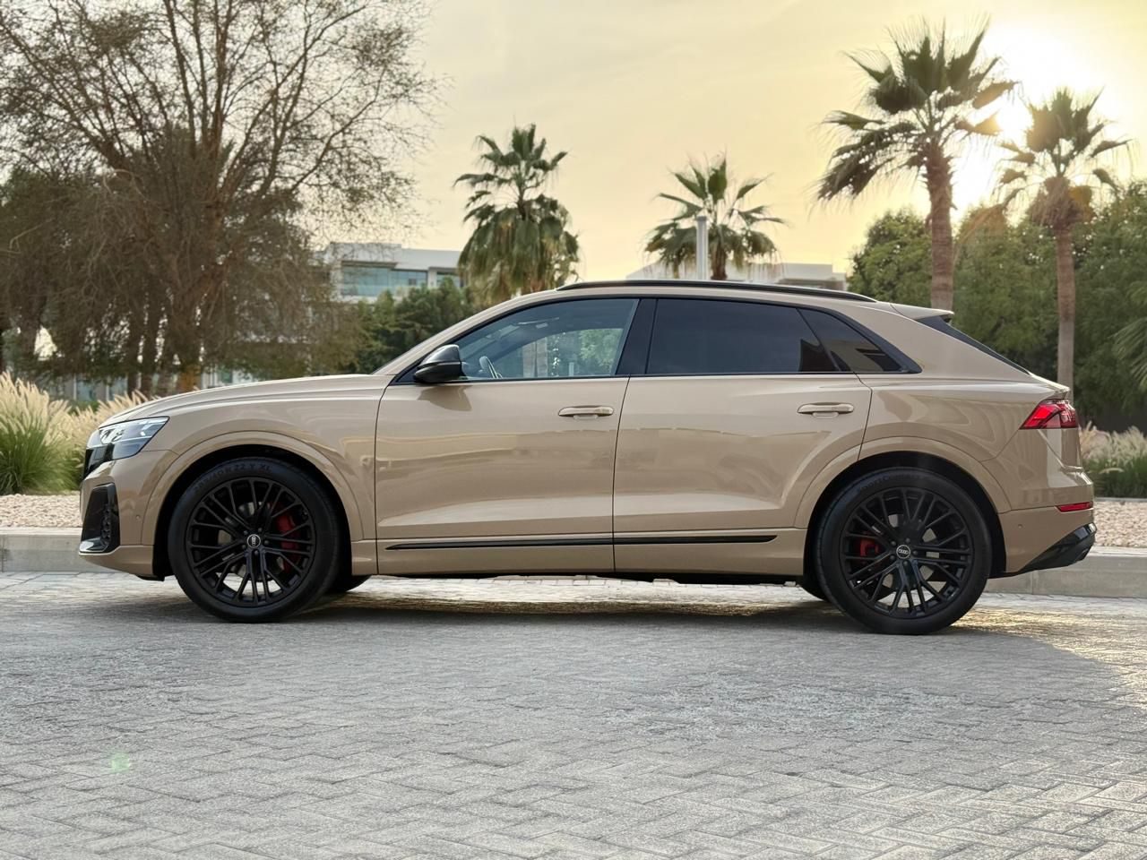 Audi Q8 — photo 3