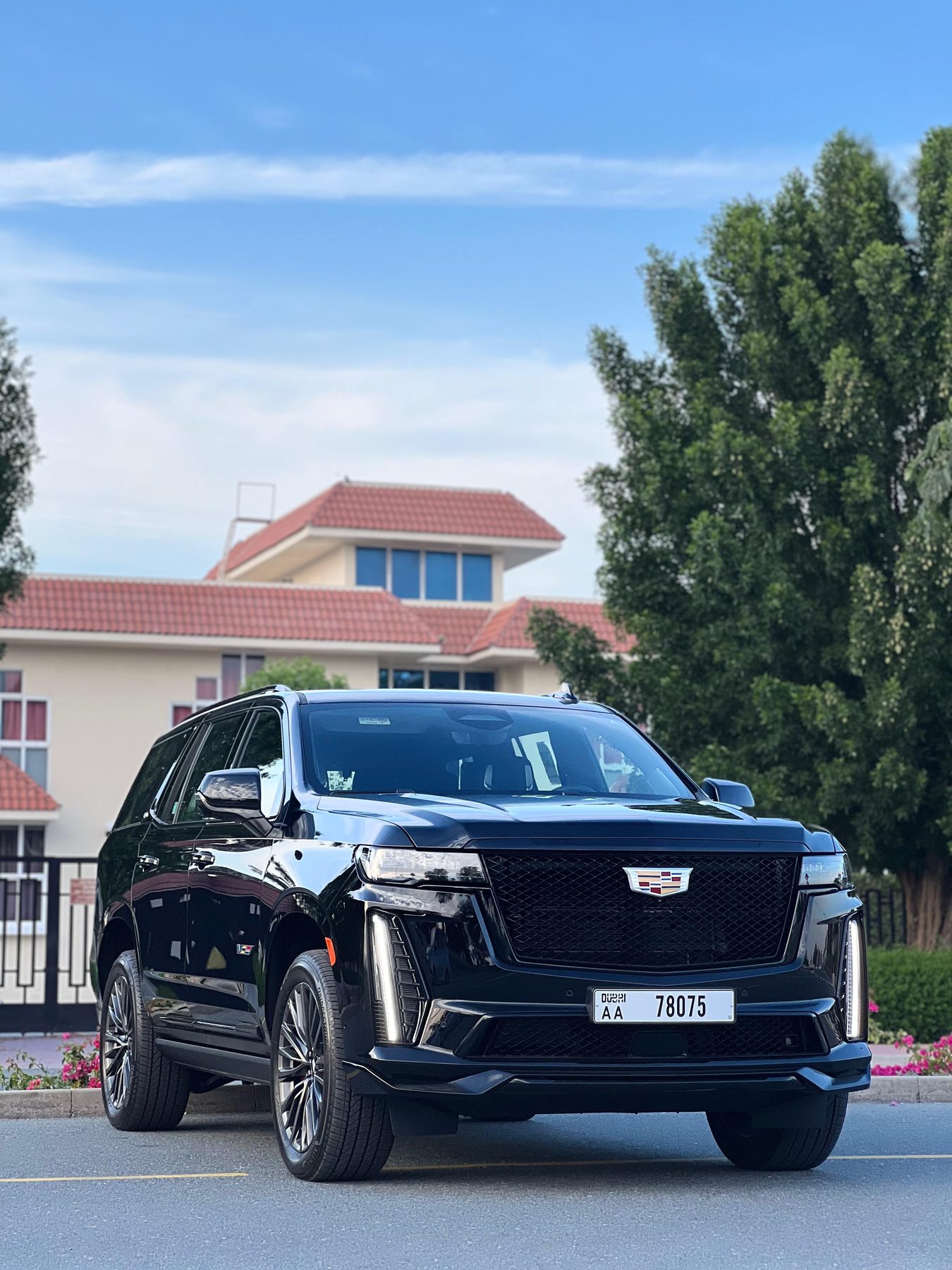 Cadillac Cadillac V Sport