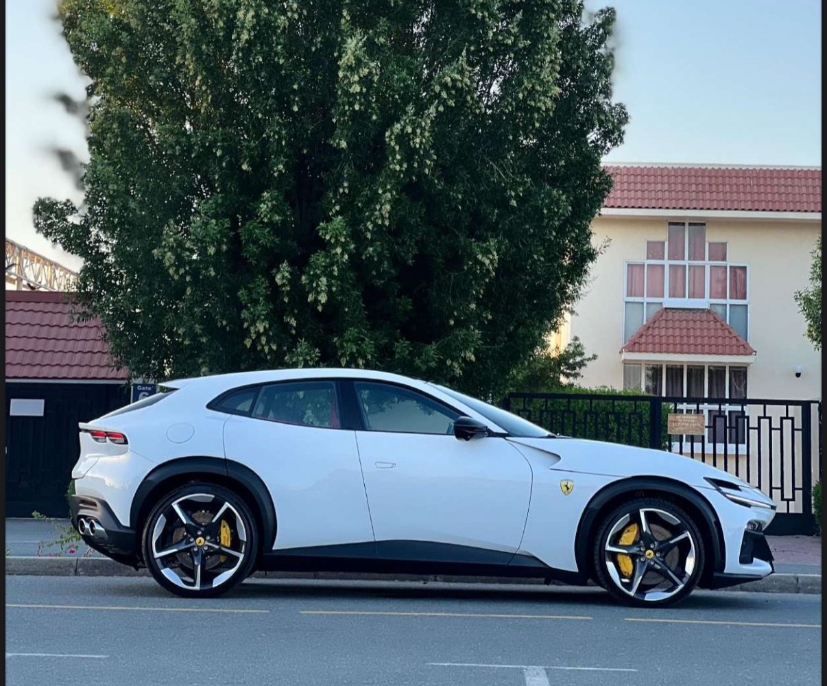 Ferrari Purosangue — photo 3
