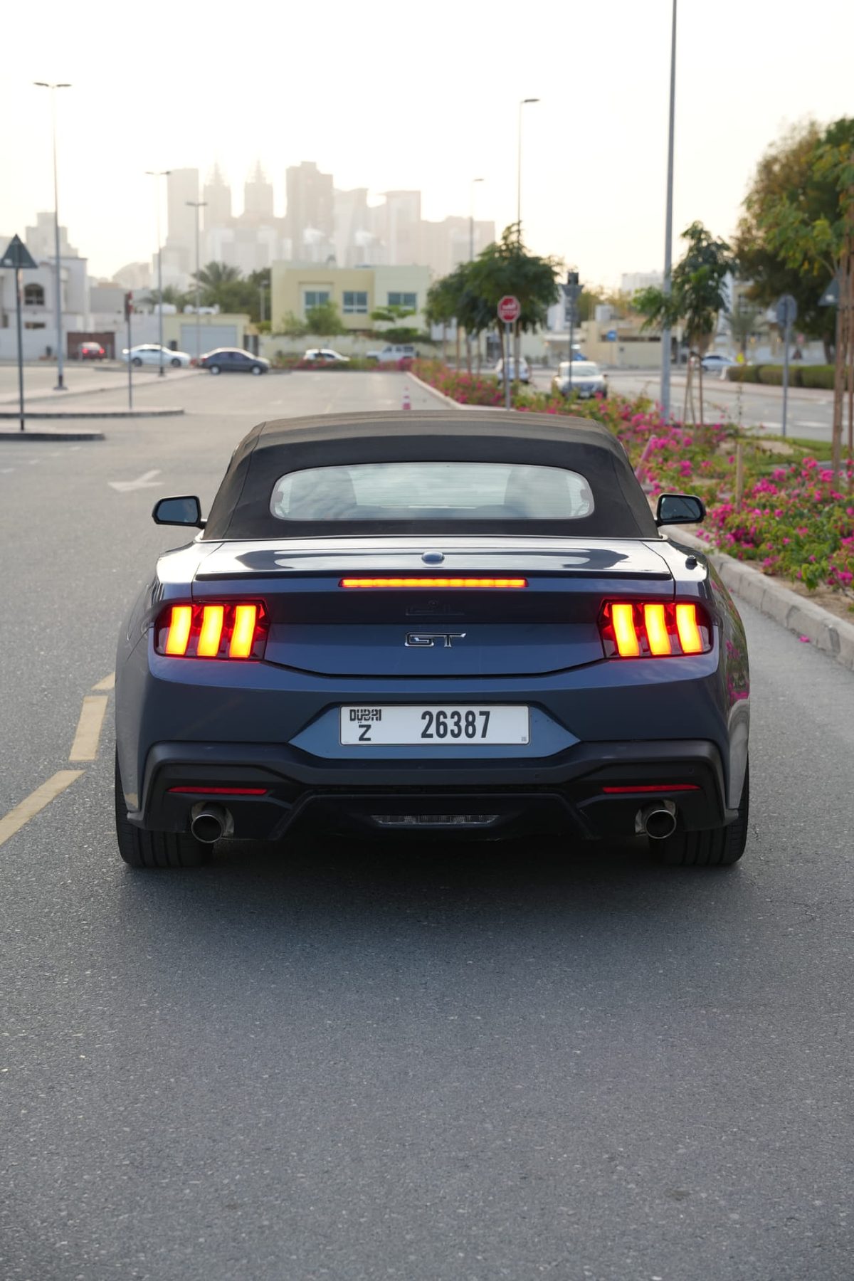 Ford Mustang GT — photo 3