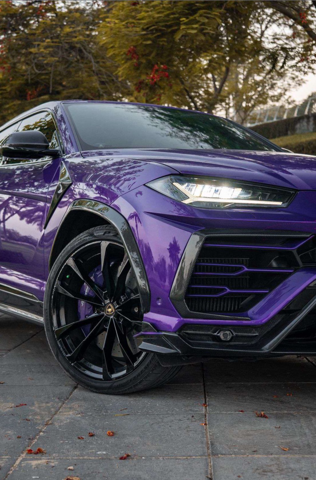 Lamborghini Urus — photo 4