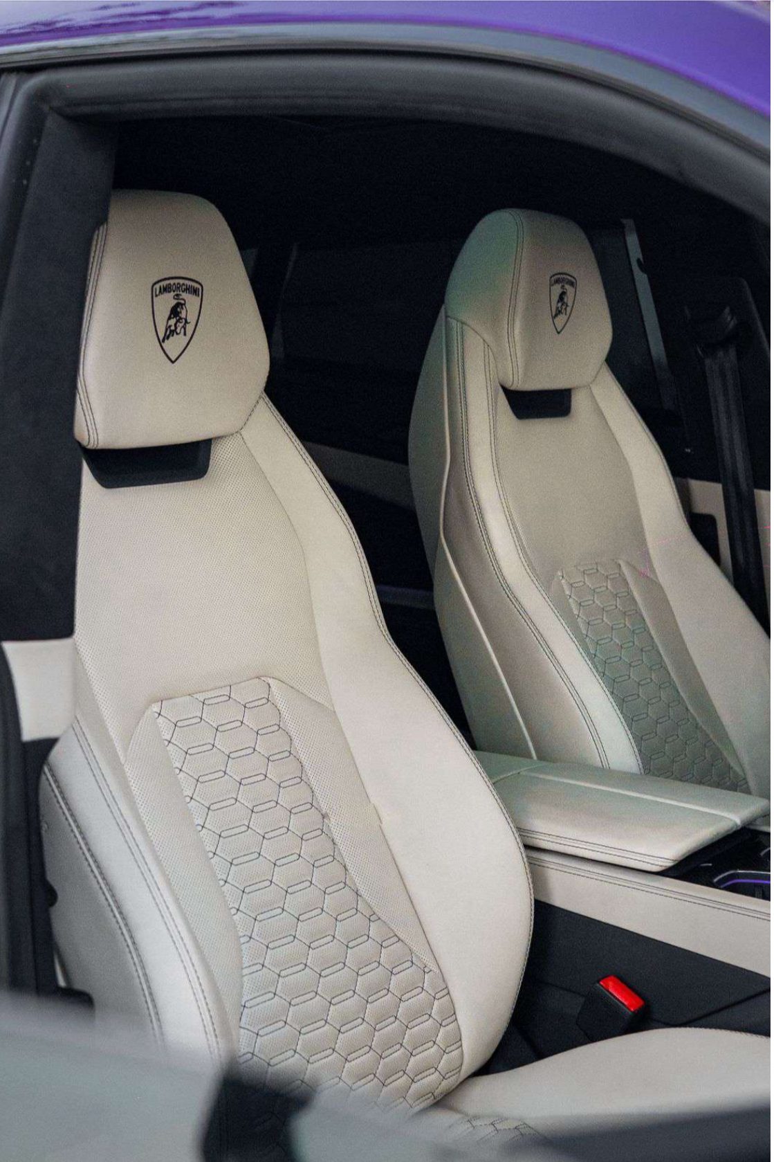 Lamborghini Urus — photo 8