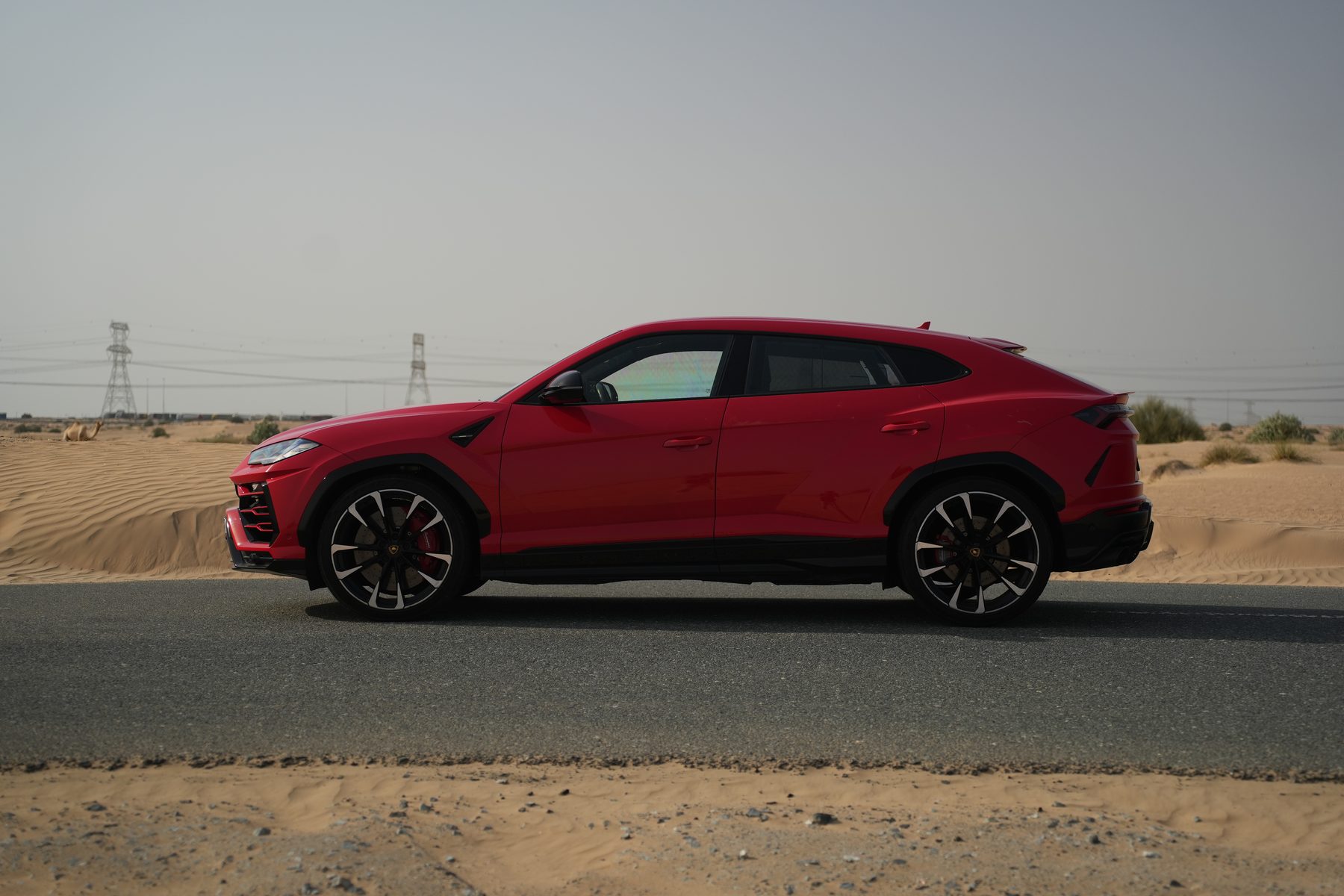 Lamborghini Urus — photo 3