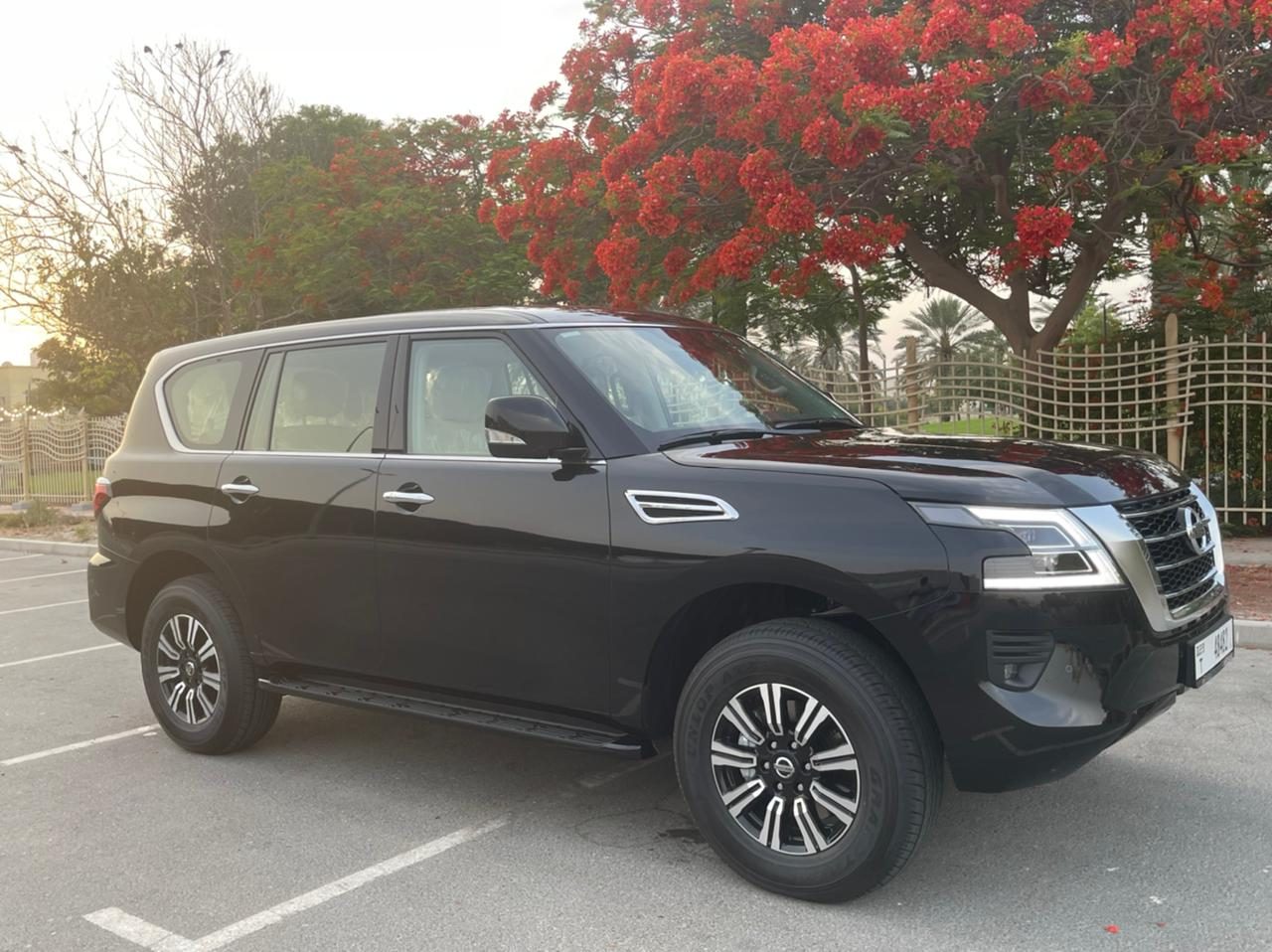Nissan Patrol Platinium — photo 3