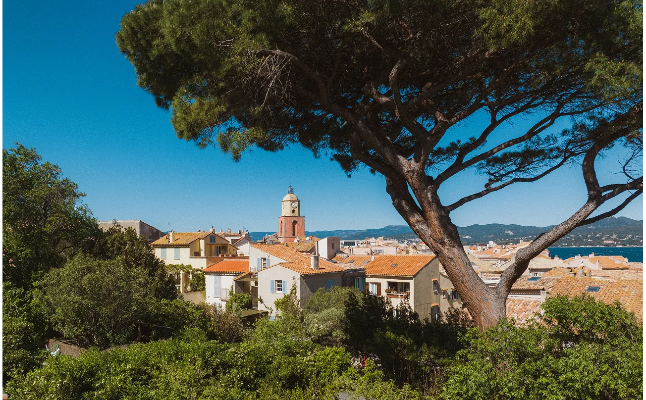 Vue sur un village côtier avec des toits en tuiles, un clocher d'église au centre et un grand pin au premier plan sous un ciel bleu clair.