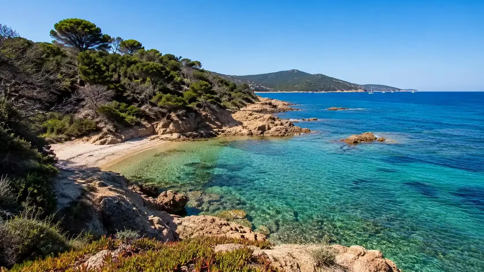 Crique du Cap Taillat près de Saint-Tropez